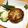 105445's cooksnap of when they made 水きりなし！超簡単豆腐ハンバーグ.