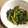 そらつづり's cooksnap of when they made めんつゆで簡単！春菊のごま和え.