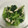 hebotin's cooksnap of when they made 青じそと小松菜とささみのお浸し 5分.