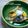 inyako's cooksnap of when they made 頭まで美味しい鯛の煮付け.
