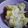 うに１１８'s cooksnap of when they made 簡単！アンチョビ＆じゃがいもの温サラダ.