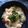 ゆりたっきぃ's cooksnap of when they made 炊飯器で、鶏肉のお粥。.