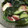 tanoyuki's cooksnap of when they made タコとわけぎのぬた.
