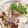 ゆみみみみみみ7's cooksnap of when they made 我が家の筍ご飯☆.