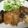 chiiiiiii's cooksnap of when they made 簡単 子供が喜ぶ！豚ロース肉の味噌焼き.