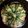 KUBOMITSU★'s cooksnap of when they made ご飯で作る簡単ピザ.