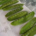ふわわらら's cooksnap of when they made 絹さや コンパクトに冷凍保存.