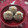 miyuki12's cooksnap of when they made 栗きんとん.
