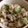 あやことちゃん's cooksnap of when they made 小松菜とシラスとおかかの醤油混ぜご飯　.