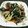 あっぷる147's cooksnap of when they made もやし沢山の鶏ニラレバ炒め.