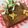 クック1ETUNH☆'s cooksnap of when they made 生チョコガトーショコラ.