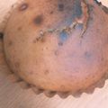 クック☆★☆'s cooksnap of when they made ♡ブルーベリージャムカップケーキ♡.