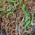 meym1128's cooksnap of when they made お弁当にも♪糸こん＆ピーマンのカレー炒め.