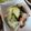 kana叶's cooksnap of when they made 速攻完成！きゅうりとわかめの柚子胡椒和え.