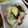 kana叶's cooksnap of when they made 速攻完成！きゅうりとわかめの柚子胡椒和え.