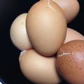 ムーヒツジ's cooksnap of when they made ケトルで、ゆで卵.