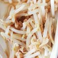 クック4LE2C7☆'s cooksnap of when they made もやしとシーチキンのサラダ☆電子レンジ☆.