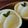 結1218's cooksnap of when they made まるごと！グレープフルーツゼリー☆.