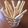 mermaid123's cooksnap of when they made 初恋の味❤レモンみるくプリッツ.