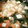 Sizuku04's cooksnap of when they made 簡単♬豆腐とカニカマのスープ.