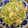ゆぅまぁ922's cooksnap of when they made 簡単☆もやしと玉子の炒め物.