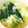 ARKHRFM's cooksnap of when they made 小松菜とたまごのスープ.