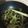 ちょっこれーとーーー's cooksnap of when they made 栄養たっぷり野菜ポン酢炒め.