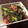 ありぱん＊'s cooksnap of when they made たこときゅうりの麺つゆ漬け♫.