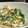 りゅうしんのmama's cooksnap of when they made 水菜とささみのごまポンマヨ和え.
