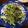 soyおじさん's cooksnap of when they made 簡単小松菜ごま昆布和え.