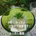 もりあん農園's cooksnap of when they made シラスとみぞれの冷奴.