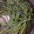 tayuko310's cooksnap of when they made 旬・春の香り◇わらびのあく抜き◇下処理.