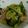unauna72's cooksnap of when they made 豚肉とチンゲン菜の中華炒め.