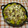 えいとさん's cooksnap of when they made 旬のかぼちゃと合びき肉の重ねオーブン焼き☆.