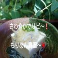 もりあん農園's cooksnap of when they made シラスとみぞれの冷奴.