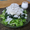 ダイナマイト漆黒's cooksnap of when they made さっぱり水菜と大根おろしのしらすサラダ.
