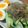 になべっち's cooksnap of when they made 千切り野菜とじゃこのさっぱりサラダ.