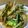 ★きょうか★'s cooksnap of when they made 豚肉と野菜炒め.