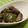 ｇａｂｉｂｉ's cooksnap of when they made 茄子とピーマンの酢みそ和え.