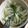 クックAXEN6A☆'s cooksnap of when they made シャキシャキじゃがいもとパクチーのサラダ.