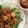マンゴスチン69's cooksnap of when they made 鶏胸肉でジューシー唐揚げ♫ネギおろぽんで.