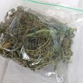 ソウルガーデンホテル's cooksnap of when they made 干し野菜★大根の葉っぱ、干してみました！.
