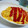 天然海苔てゃん☆'s cooksnap of when they made 簡単★ジューシーふわとろオムライス.