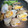 ＊ろりす＊'s cooksnap of when they made アオヤギの酒蒸し.
