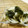 赤い電話's cooksnap of when they made わかめと玉ねぎのまろやか酢の物.