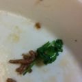 夢は大きく's cooksnap of when they made 簡単パクチーサラダ.