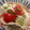 ♪★noriko★♪'s cooksnap of when they made 簡単！餃子の皮でアボガドトマトカップ♡.