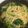 ヨウコ牛's cooksnap of when they made 簡単和風ツナパスタ.