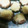 クックEMY4XR☆'s cooksnap of when they made 丸ごと椎茸のチーズ焼き.