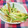 しょーﾁｬﾝ's cooksnap of when they made 簡単！みょうが＆きゅうりのポン酢和え♡.